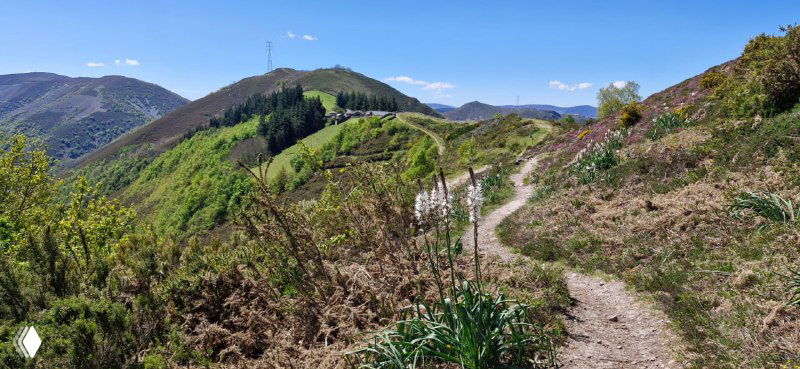 Камино де Сантьяго