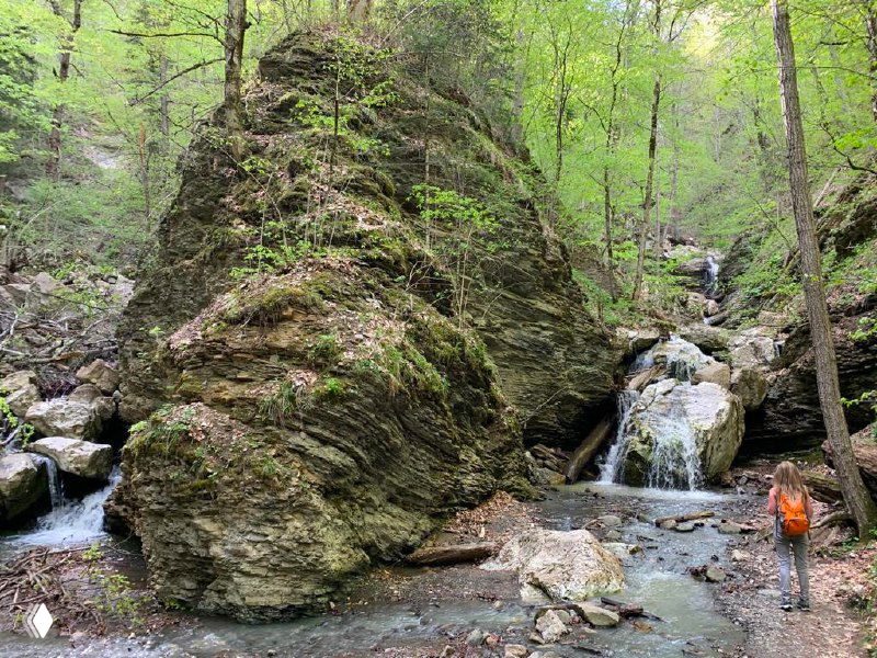 Каменные глыбы и узкий ручей в хвойном лесу, тропа среди мха и деревьев, небольшой водоток на маршруте к водопаду.