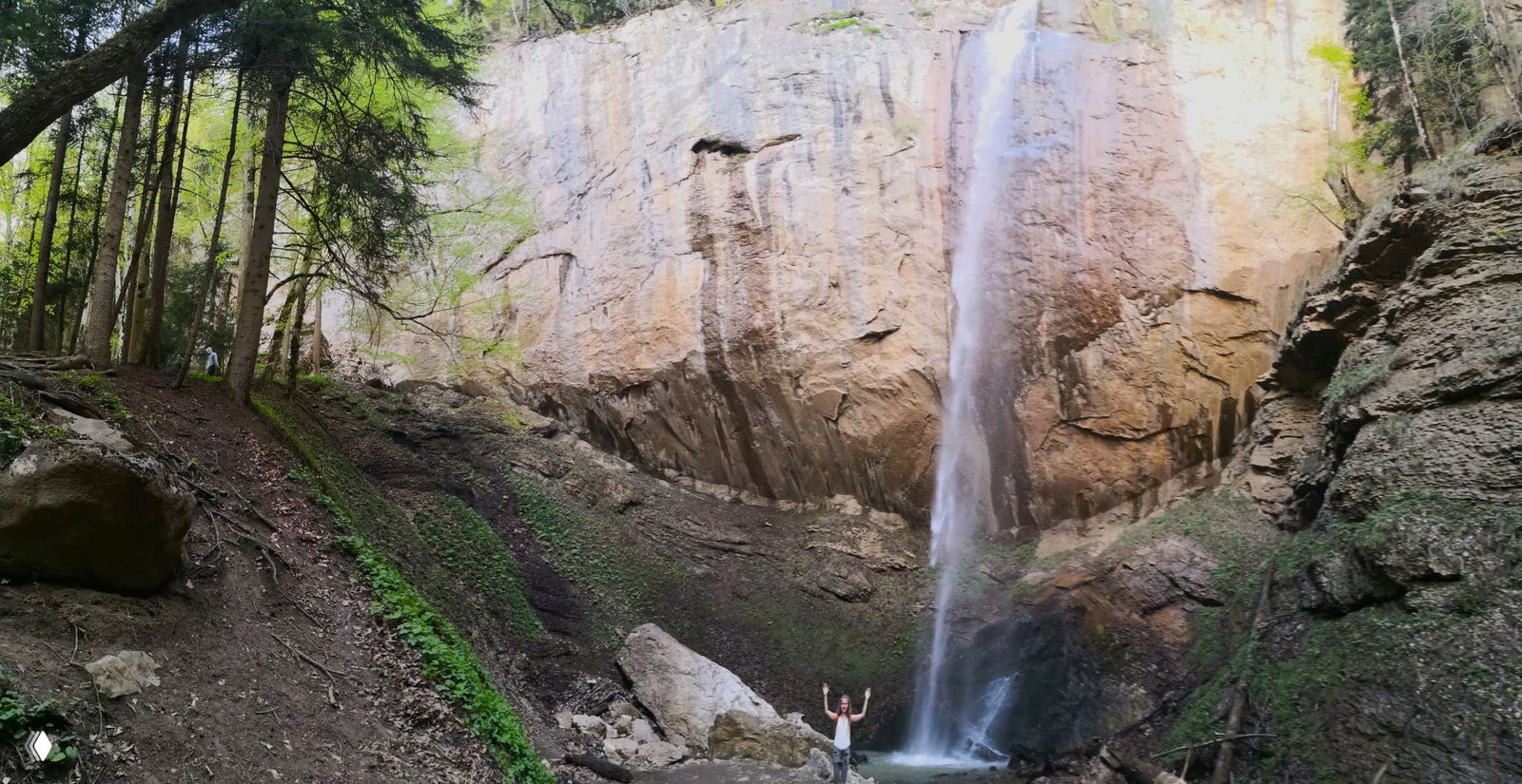 Панорамный вид на водопад и окружающий лес: высокая скала, падающая вода и небольшой бассейн у основания в окружении деревьев.