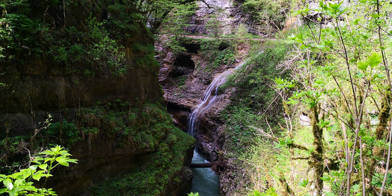 Порог реки и небольшие каскады среди скал и влажной растительности — часть туристического маршрута по Гуамскому ущелью в Адыгее.
