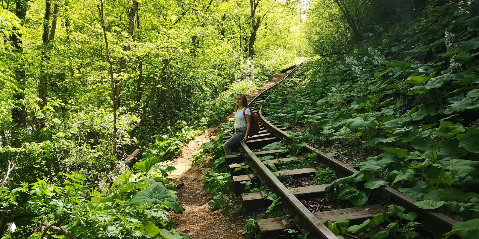 Вид сверху на быстрый узкий рукав реки Курджипс между высокими скалами и обилием зелёной прибрежной растительности.