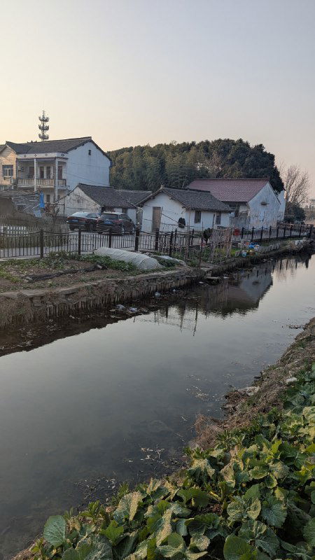 Пригородный или сельский участок с домами вдоль канала, спокойная вода и прибрежная растительность — тихая сельская сцена вне мегаполиса.