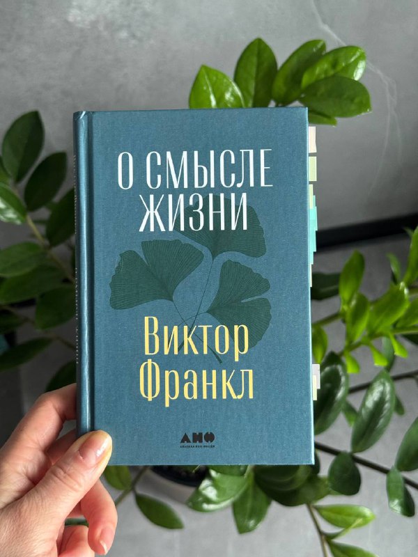 О смысле жизни — мысли о книге Виктора Франкла