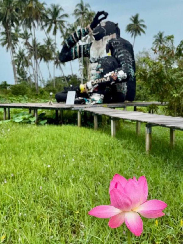 3 вещи, что я сделала впервые на Самуи