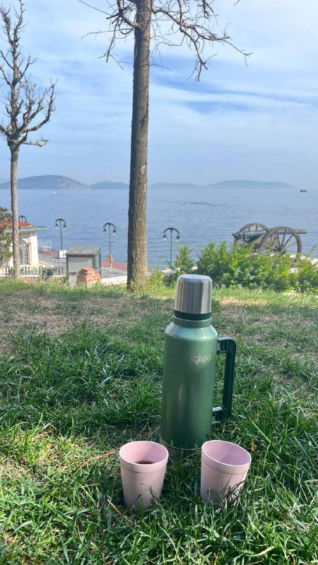 Термос и две кружки на траве с видом на море и причал вдалеке: кадр с пикника на лужайке острова, спокойный отдых у воды.