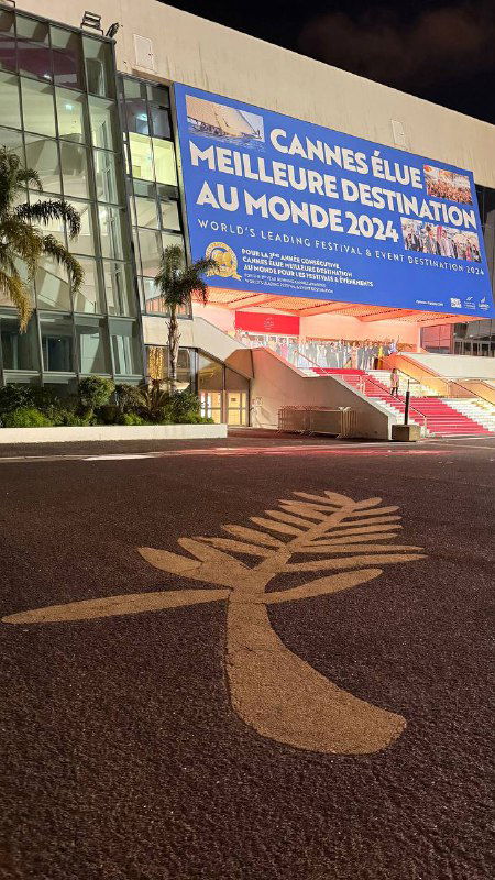 Ночной фасад фестивального комплекса в Каннах: дорожка и контрастная проекция пальмовой ветви с крупным баннером мероприятия.