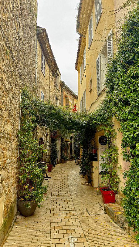 Каменная узкая аллея в деревне, окружённая домами с горшками и зеленью, слегка в тёплых тонах — типичный южный пейзаж.