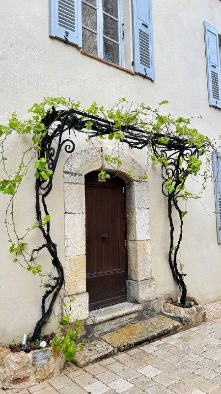 Декоративная дверь с аркой, украшенная лозой и небольшими окнами над входом — атмосфера провинциального французского поселка.