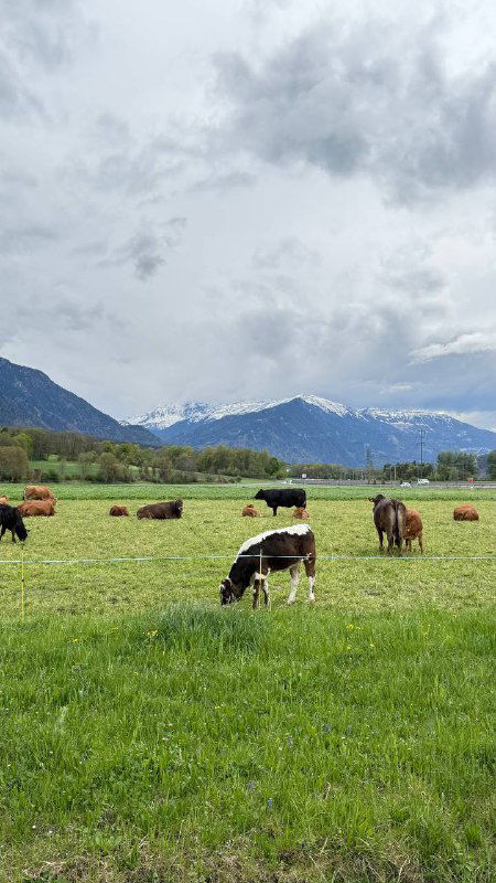 День 4: Швейцария — Лихтенштейн