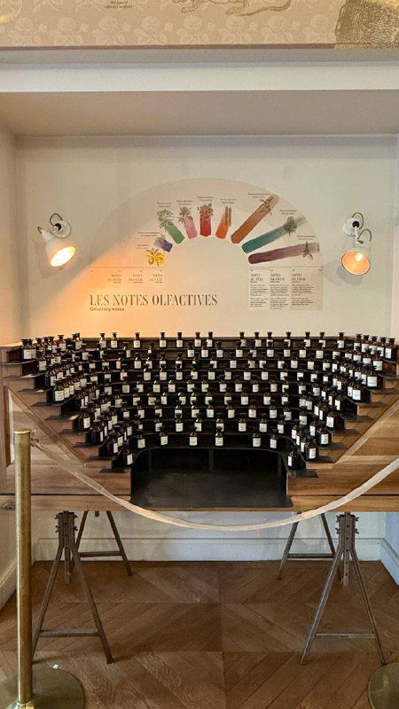 Как съездить в Париж и не остаться без штанов