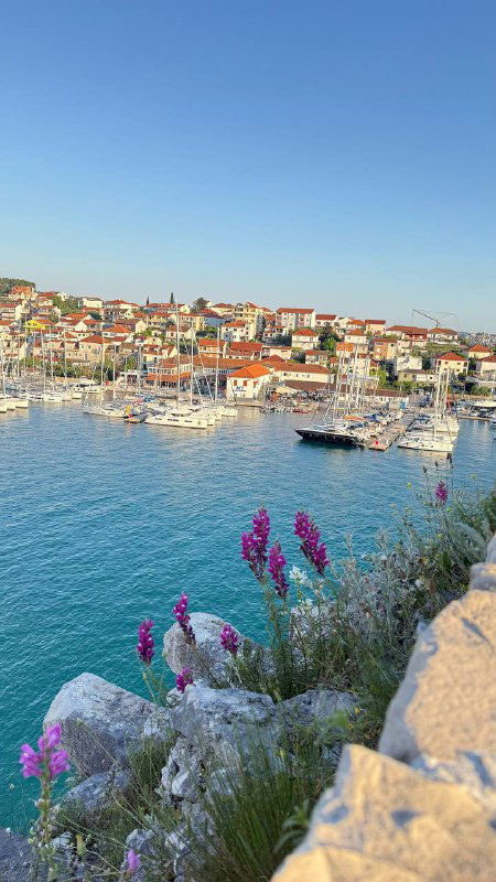 Панорамный вид прибрежного города: скалы, красные крыши, цветы на переднем плане и прозрачное синее море на закате.