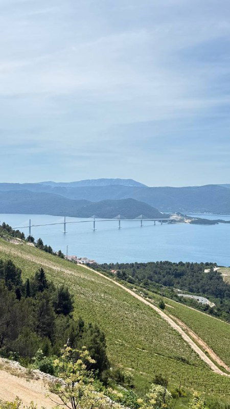 Вид с холма на пролив с длинным мостом и бухтой; вокруг виноградники или террасы — живописная морская панорама с инфраструктурой.
