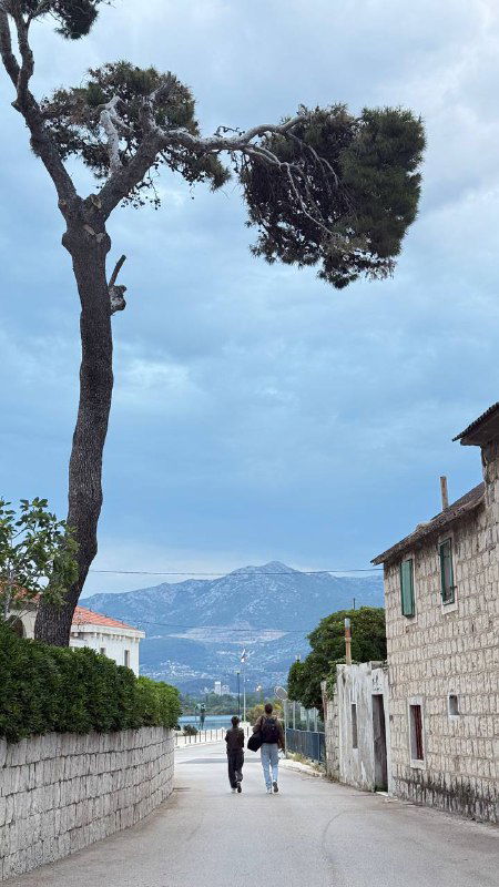 Уличная сцена с изогнутым деревом, узкой пешеходной улицей и горами вдалеке — тихая пригородная или островная дорога с характерным пейзажем.