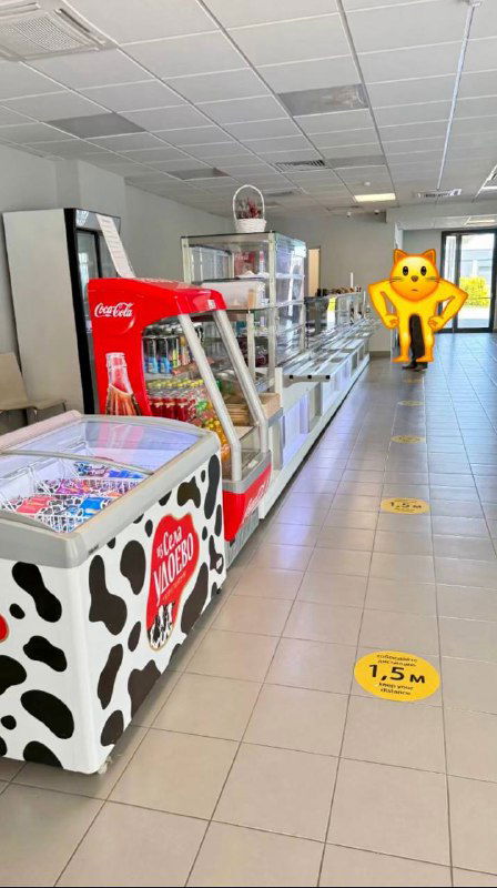 Кассовая зона и линия раздачи столовой: холодильник с мороженым, касса и перегородки линии раздачи в непереполненном помещении.