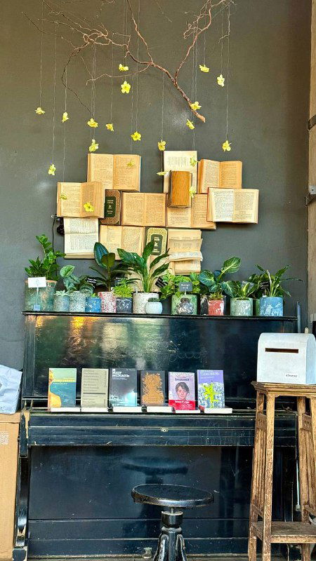 Интерьер кофейни в библиотеке: настенная инсталляция из книг и зелёные растения над стойкой, тёплая уютная подсветка.