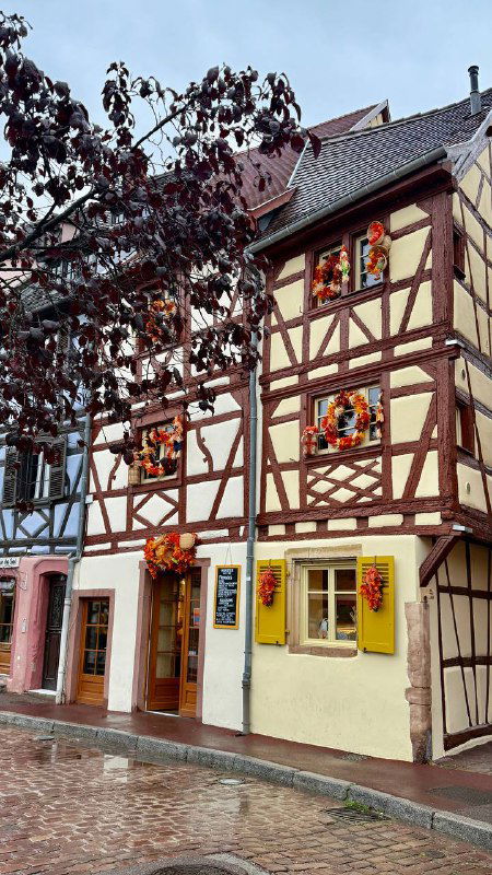 Фахверковые дома в Кольмаре с яркими ставнями и цветочными горшками у окон, мокрая брусчатка и уютная витрина на улице.
