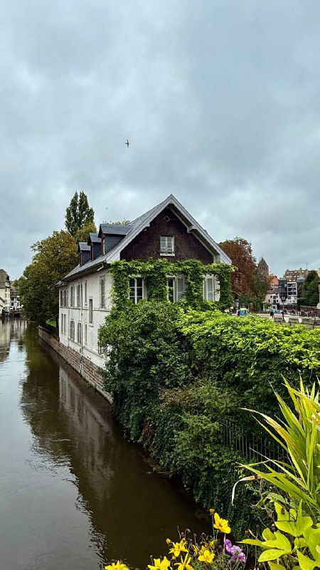 Дом у канала в Страсбурге: традиционная франко-эльзасская архитектура, тихий водный путь и зелень вдоль набережной.