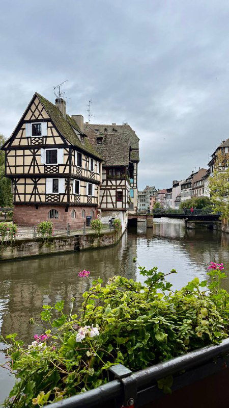 Панорамный вид на старые фахверковые дома и канал Страсбурга с цветами на переднем плане — вид из Маленькой Франции.