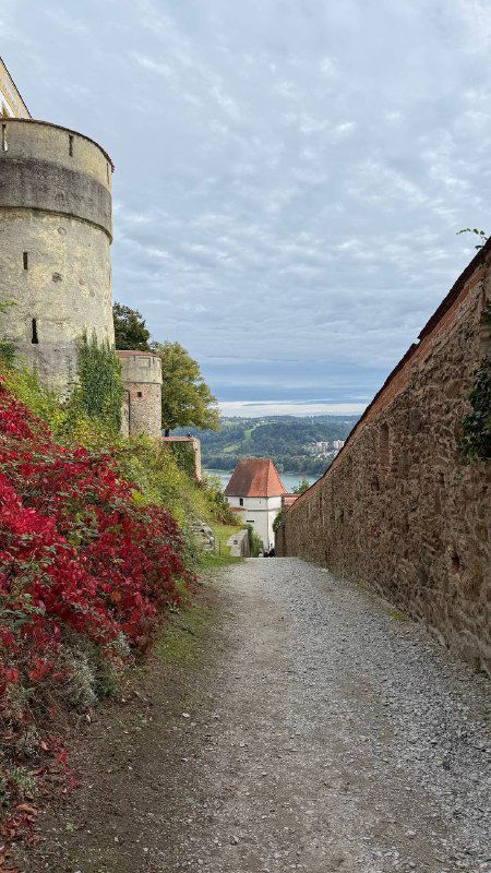 Каменная дорожка к замку Пассау, окружённая стенами и осенними кустами: вид на тропу, ступени и перспективу подъёма к крепости.