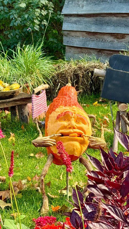 Буу! Тыквенное искусство с фестиваля в Людвигсбурге