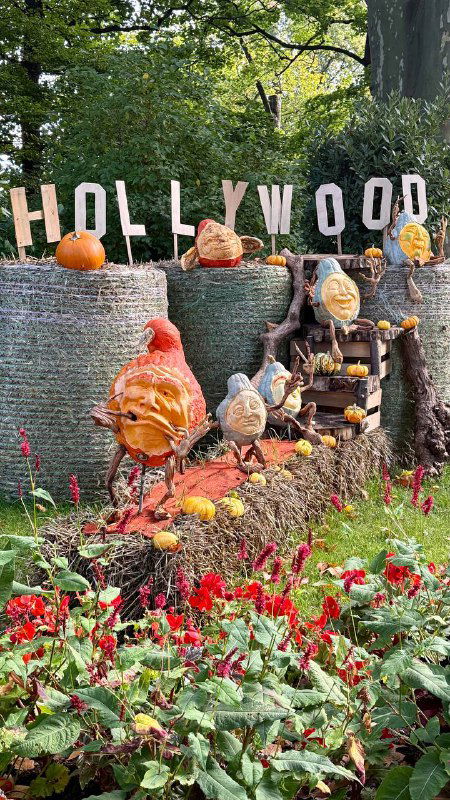 Инсталляция с буквами «HOLLYWOOD» из материалов и тыкв, вокруг дорожка и множество фигурок из тыкв на фоне клумбы с красными цветами.