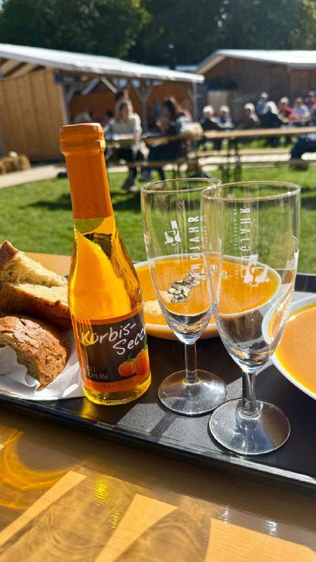 Поднос с бутылкой тыквенного шампанского <em>kürbis-secco</em>, двумя бокалами и кусочком закуски на столике — дегустация местных напитков на фестивале.