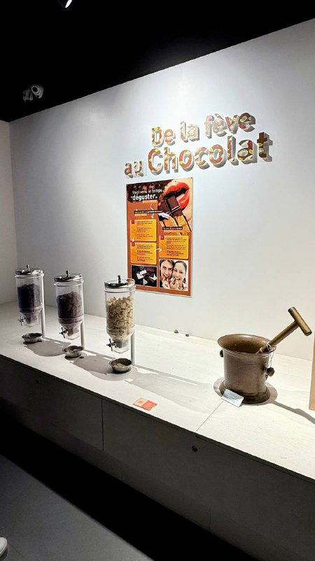 Экспонаты и образцы ингредиентов для шоколада в витрине: мельницы, баночки с компонентами и инсталляция в зоне интерактивной экспозиции.