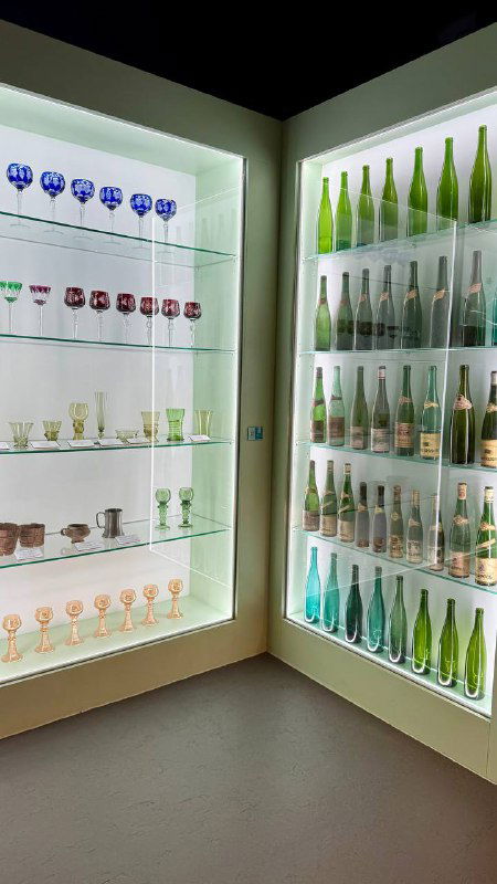 Стеллаж с коллекцией бутылок и фужеров в музее вина: разные по форме бутылки, преимущественно зелёное стекло, аккуратно выставленные бокалы.