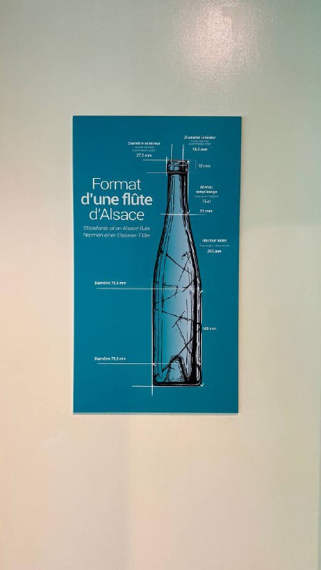 Информационный постер о формате эльзасской бутылки: схема бутылки с подписями и объяснением, настенная панель экспозиции в музее вина.