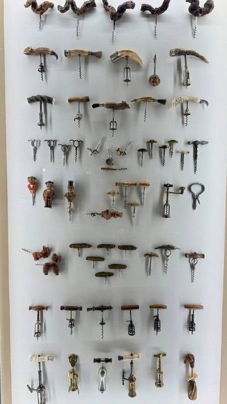 Витрина с коллекцией штопоров и сомельерских инструментов: множество разных моделей на доске, музейный экспонат с подписи и нумерацией.