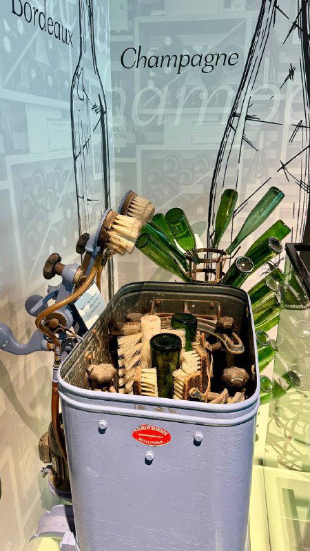 Контейнер с щётками и аксессуарами для бутылок и пробок в музее вина: инструменты для ухода за фужерами и бутылками, крупный план музейного инвентаря.