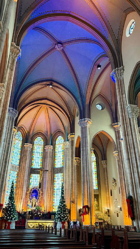 Интерьер католической церкви Святого Антония Падуанского: высокие арки, витражи и торжественный алтарь в мягком освещении, атмосферный вид внутри.