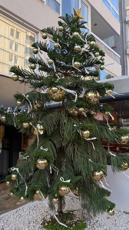 Высокая рождественская ёлка у фасада кафе в Измире, украшенная золотыми шариками и лентами — часть уличной праздничной декорации.