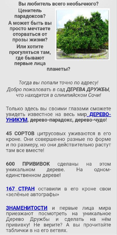 Дерево дружбы и ботанический сад