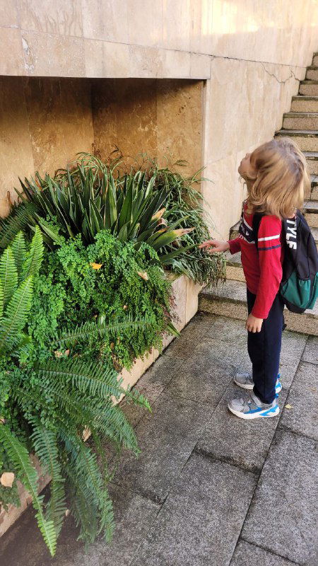 Папоротники на лестнице музея