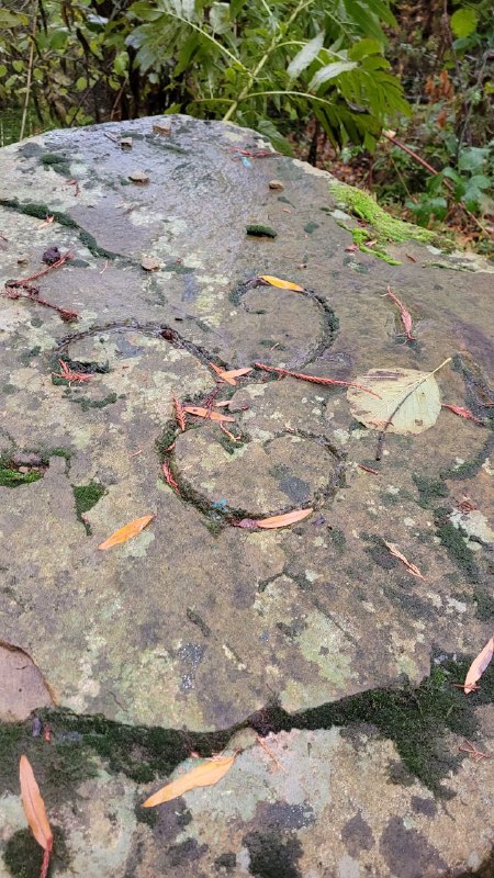 Поверхность каменного дольмена с трещинами и следами краски или надписей; на заднем плане кусты и опавшая листва в лесной зоне.