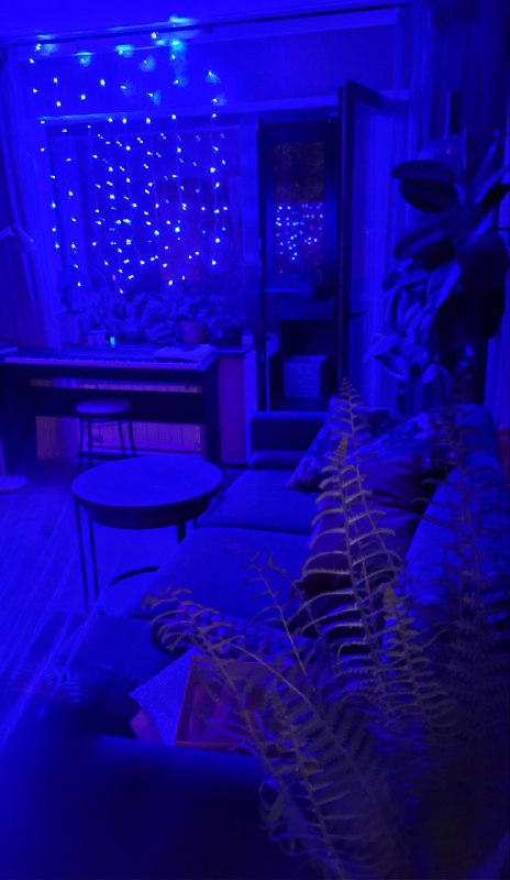 Огоньки, отражения и мэджик