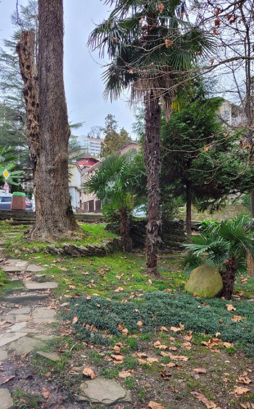 Зимние сочинские улочки