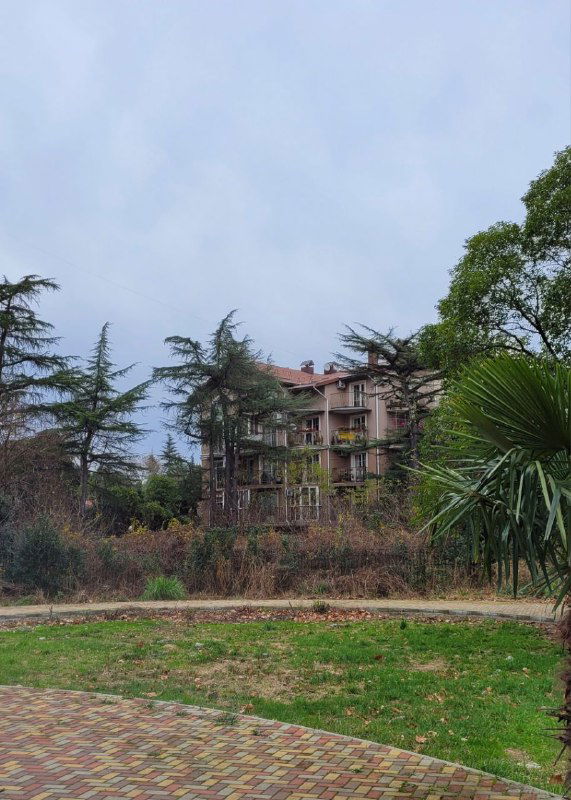 Заброшенное здание и зелёная лужайка в Сочи под хмурым небом — сочетание старой архитектуры и субтропической растительности.