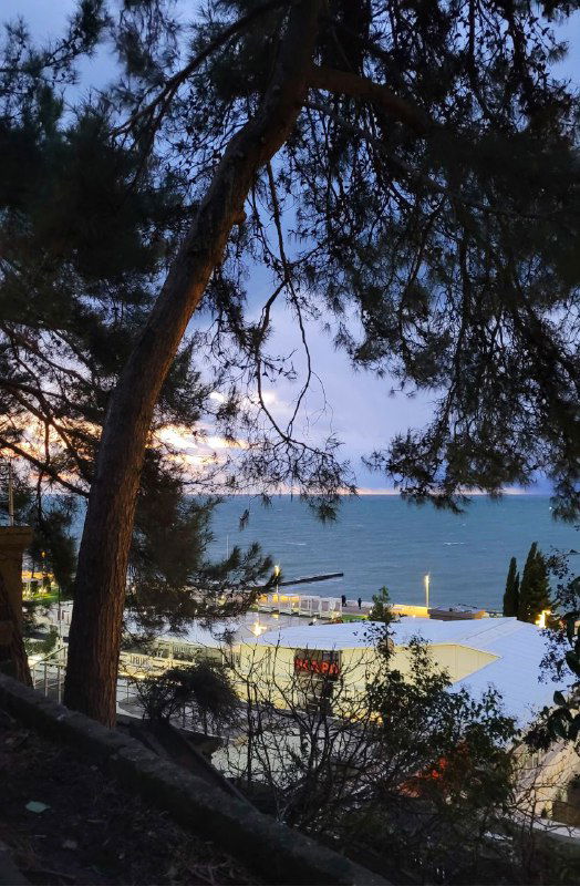 Личные посты в Telegram и их роль