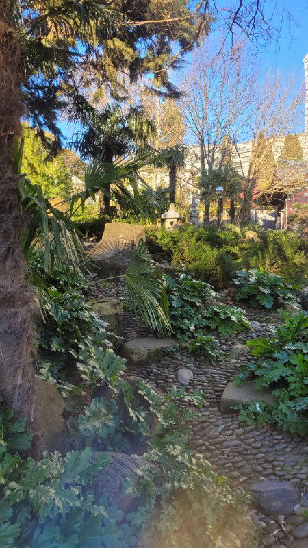 Каменная терраса и извилистые ступени в зелёном ландшафте, вокруг папоротники, кустарники и ясное голубое небо.