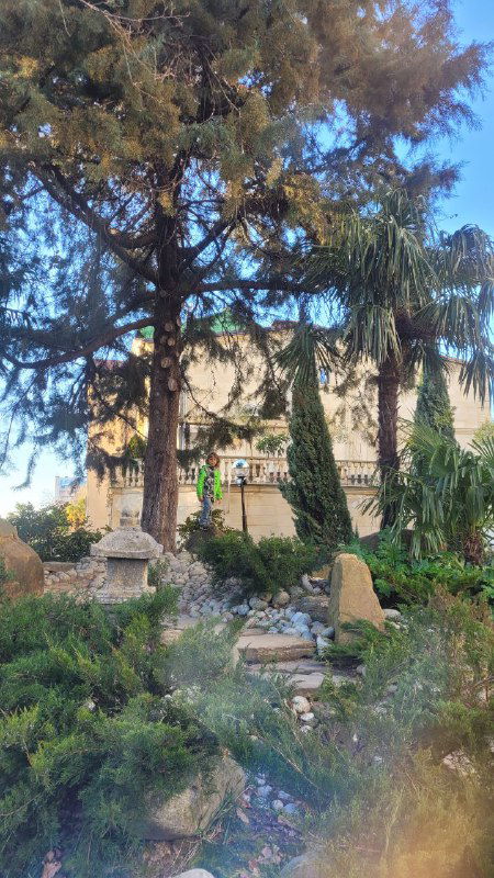 Панорамный вид садового участка: высокие деревья, плотные кусты, каменные горки и архитектурные элементы на заднем плане под небом.