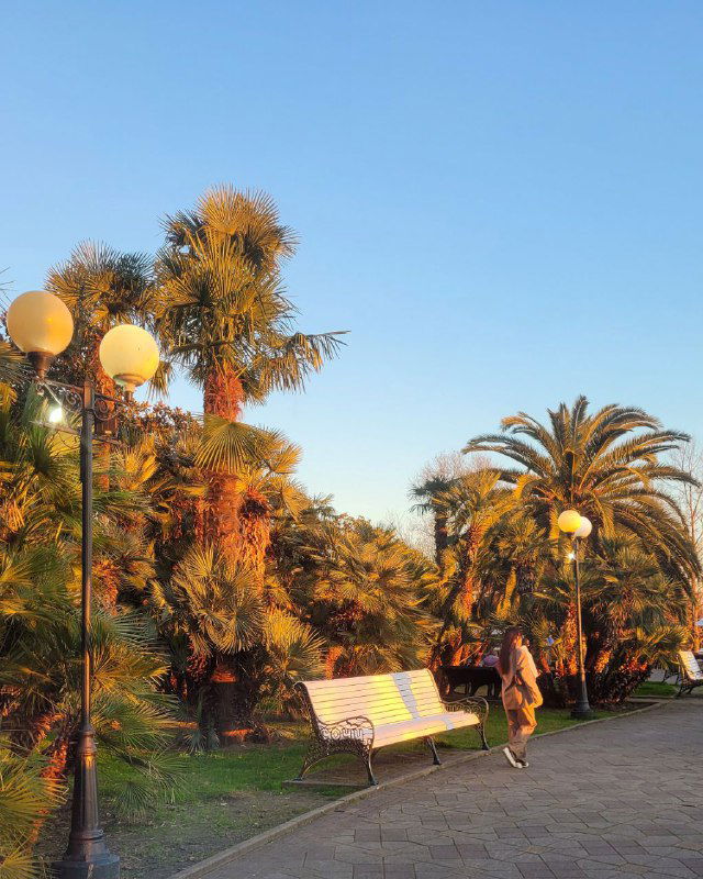 Закат в Сочи и маленькие хорошие истории