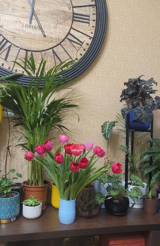 Как заставить меня рыдать 😅