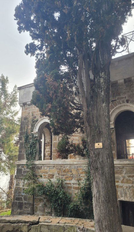 Каменные арки и входные проёмы дачи Квитко, частично закрытые декоративными деревьями; архитектурные детали раннего XX века.