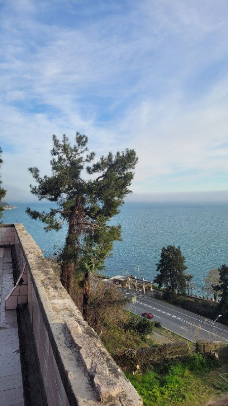 Вид с балкона старого здания на море и прибрежную дорогу: хвойные деревья, обрыв и спокойная облачная гладь неба — атмосферный пейзаж.