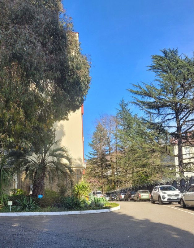 Мастер-класс: модели ведения блога и схемы продаж