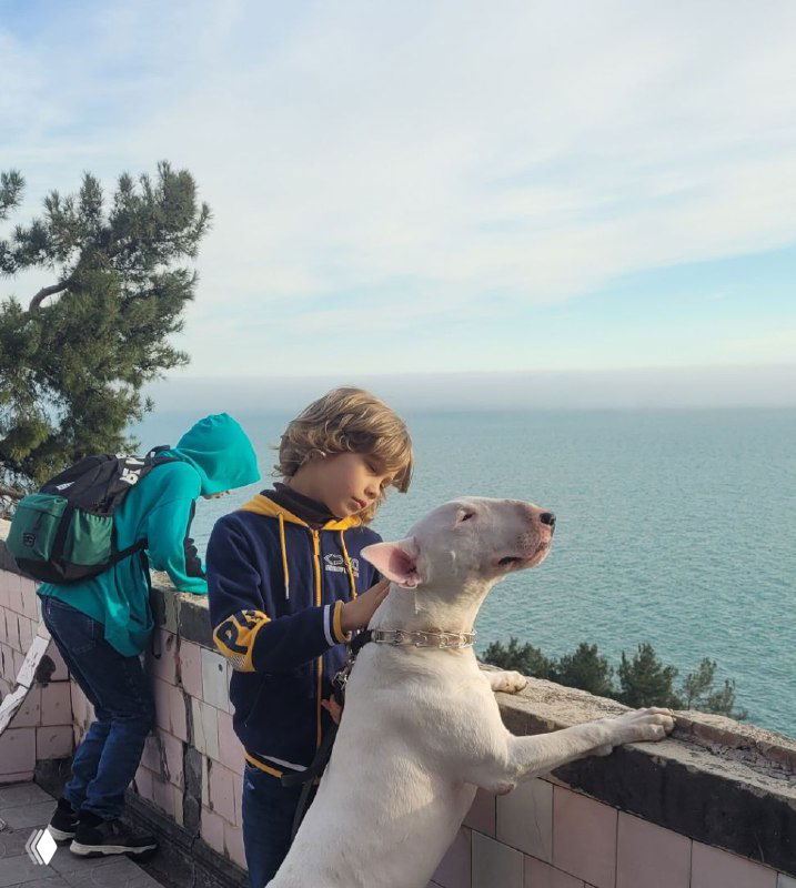 А ведь я говорила: Телеграм — это река