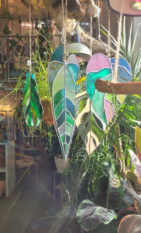 Про.Антас — тропики в центре Питера