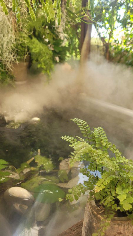 Про.Антас — тропическое пространство в Питере